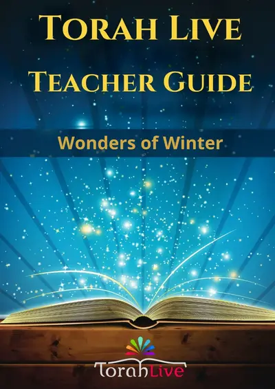Teacher Guides