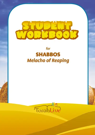 Middle School Reaping Workbook