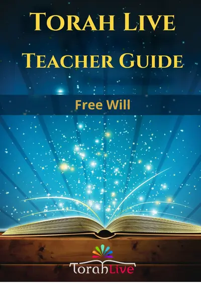 Teacher Guides