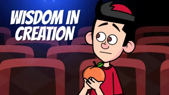 Wisdom in Creation