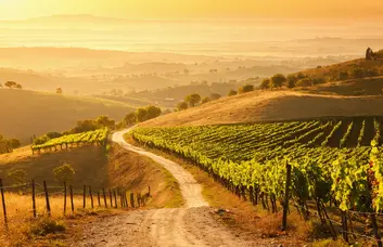 The hidden power of Yom Tov Kiddush: why this moment changes everything