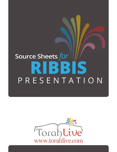 Ribbis source sheet — page 3