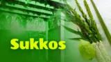 How to Make Sukkos Meaningful for Children Before the First Night