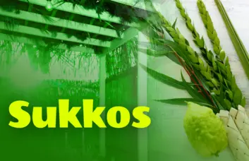 How to Make Sukkos Meaningful for Children Before the First Night