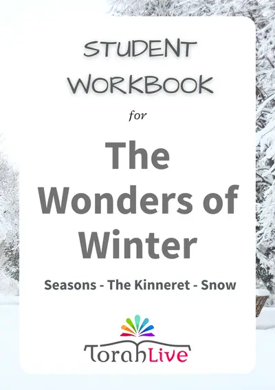 Middle School Wonders of Winter Workbook