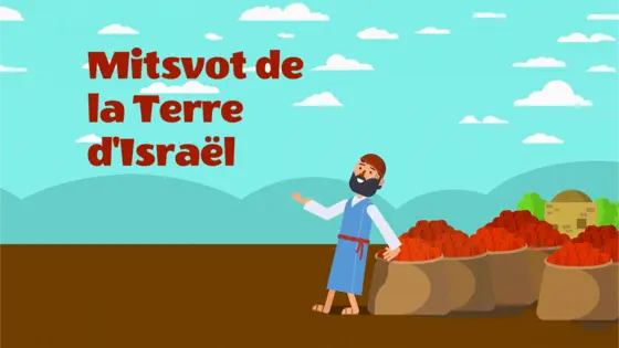Mitsvot de la Terre d'Israël