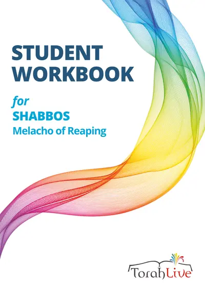 Reaping workbook classic