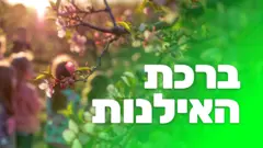 ברכת האילנות