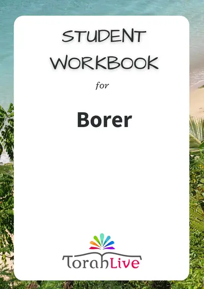 Middle School Workbooks