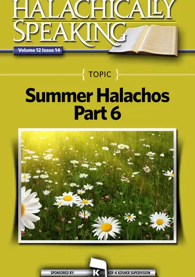 vol 12 14 Summer Halachos Part 6