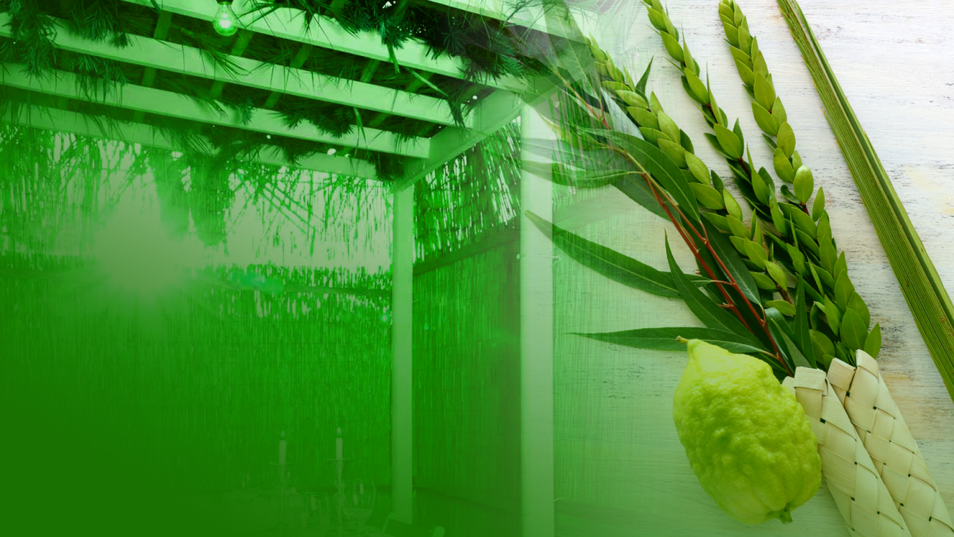 How to Choose a Kosher Lulav and Esrog: A Family-Friendly Guide