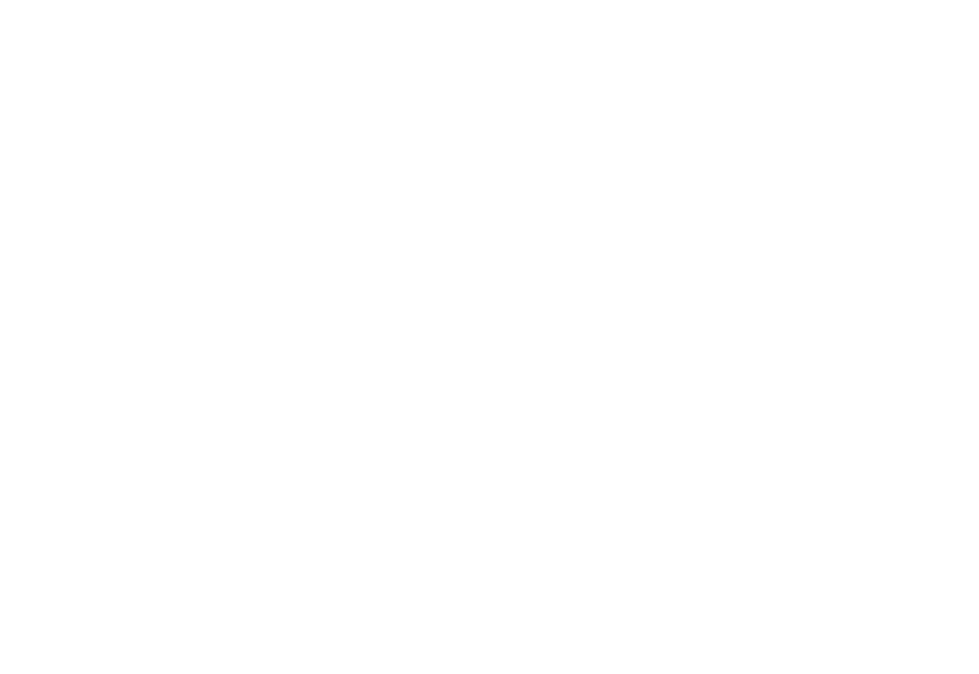 Pesach with Torah Live!