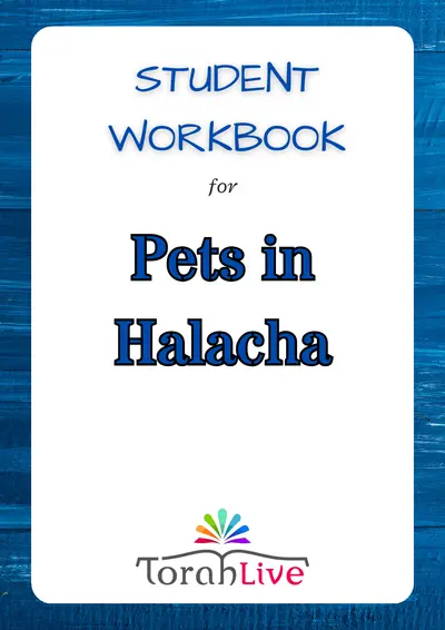 Middle School Workbooks