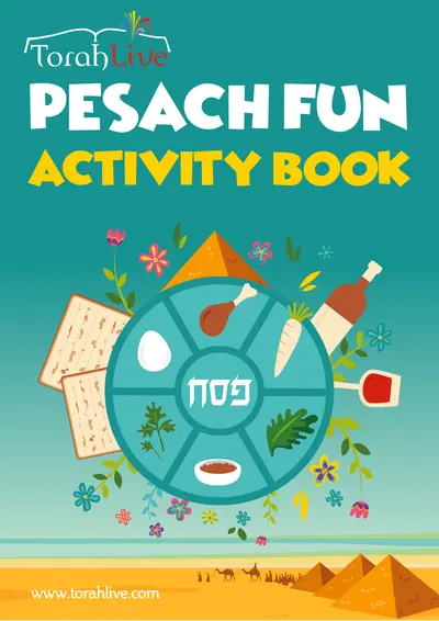 Pesach Fun Book