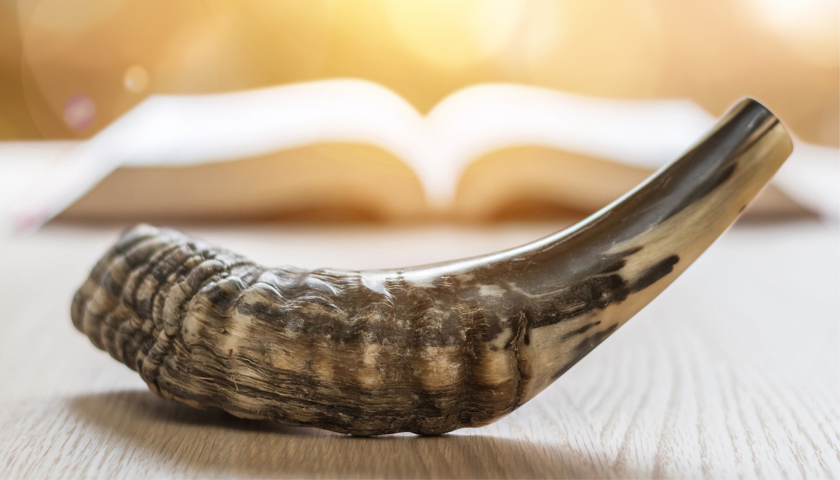 Yom Kippur Customs and Rituals | Reform Judaism