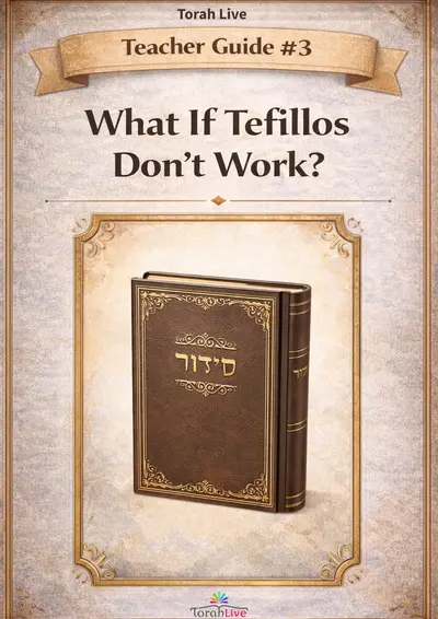 Teacher Guide #3 What if Tefillos don't work