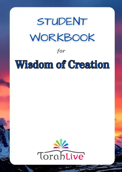 Middle School Workbooks