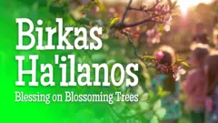 Birkat Ha'ilanot