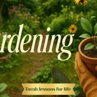 Gardening