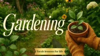 Gardening