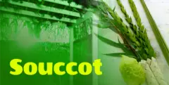 Souccot