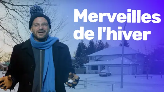Merveilles de l'hiver