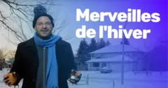 Merveilles de l'hiver