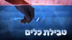 טבילת כלים