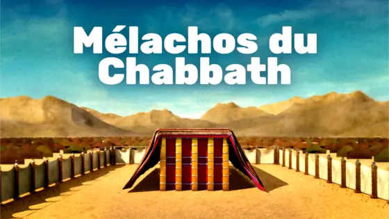 Mélachos du Chabbath