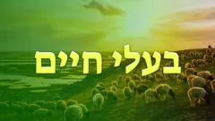 בעלי חיים!