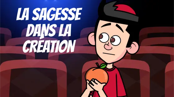La sagesse dans la création