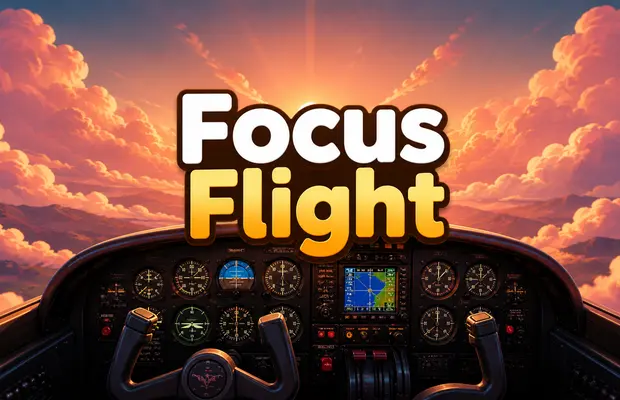 Focus  Flight! Game
