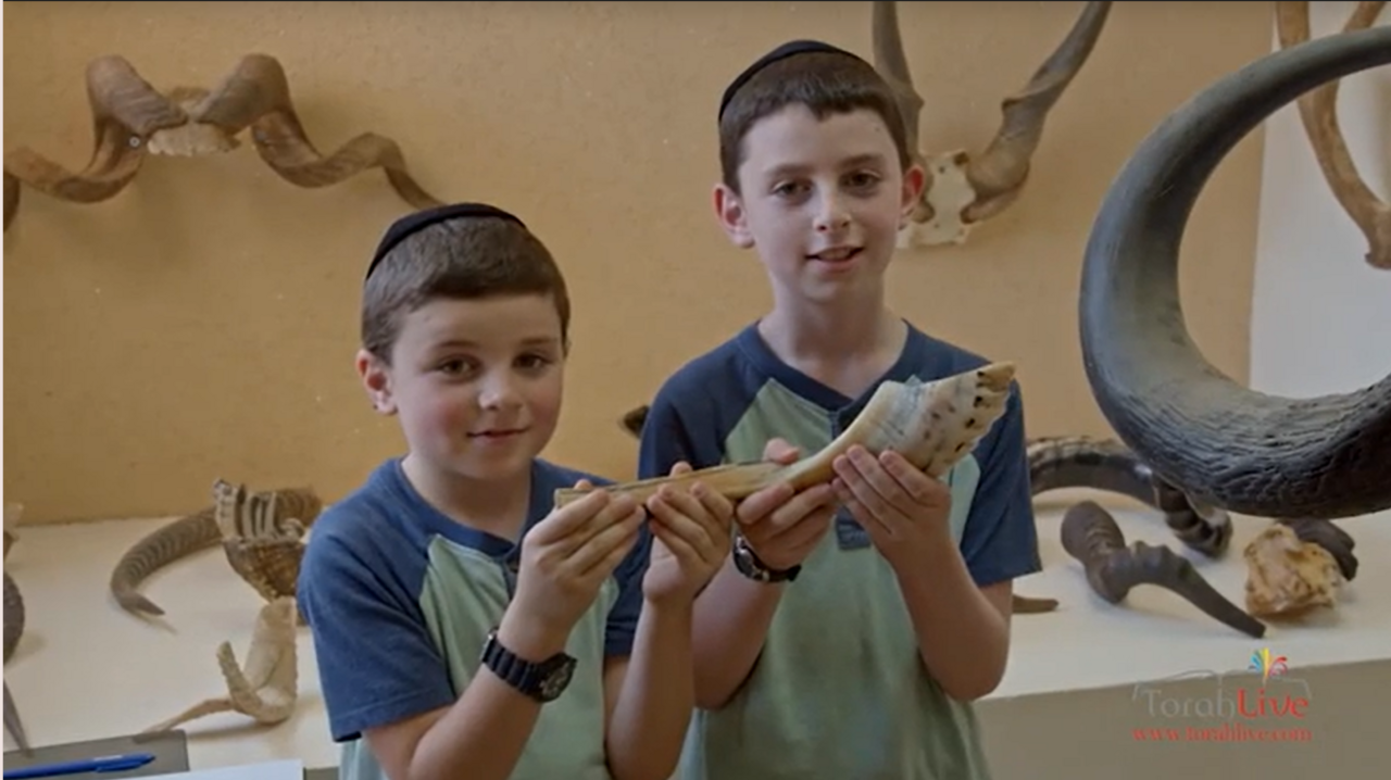 A visit to a shofar factory, where a ram's horn becomes an instrument, from the Torah Live Shofar course