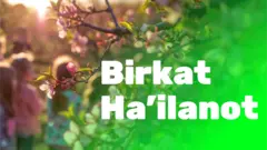 Birkat Ha'ilanot