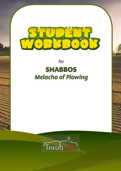 Middle School Plowing Workbook