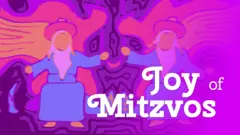 Joy of Mitzvos