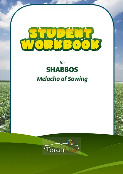 Middle School Sowing Workbook
