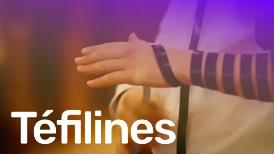Téfilines