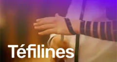 Téfilines