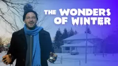 Wonders of Winter