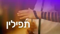 תפילין